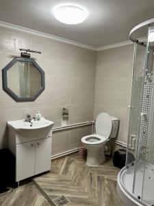 a bathroom with a toilet and a sink and a shower at Casa Albă in Vatra Moldoviţei +54 photos