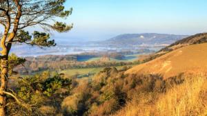 a view of a valley from a hill with a tree at Reigate - Cosy 1 Bed apartment in Reigate +3 photos