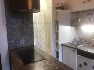 Η κουζίνα ή μικρή κουζίνα στο Charmant studio près de Bercy