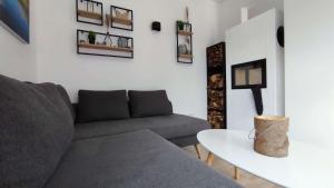 a living room with a couch and a table at Villa Wildrose mit Sauna und Beachfußballplatz in Rheinsberg