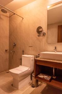 迪布鲁加尔Hotel Tree Fern的带马桶和水槽的浴室