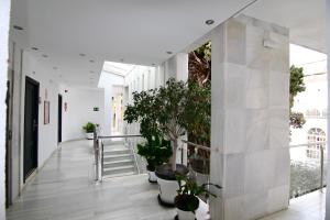 Fotografie z fotogalerie ubytování Hotel San Gil v destinaci Seville