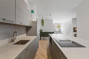 Kuchyň nebo kuchyňský kout v ubytování Home City Hotspot, Near City Center And Park