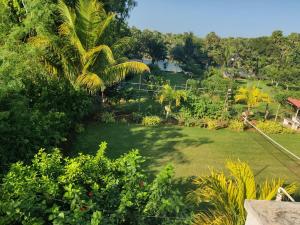 an aerial view of a garden with palm trees at Siva Rama garden 5star stay , swimming pool,room nomber 3&4, , bheemili to dorathota in Visakhapatnam