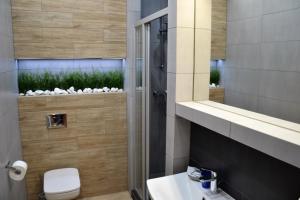 W łazience znajduje się toaleta, umywalka i lustro. w obiekcie Apartamenty Krawiecka w Zielonej Górze +37 zdjęć