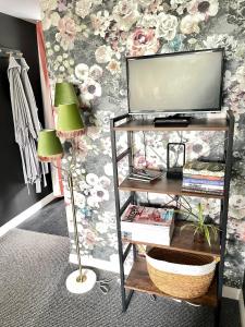 a television on a shelf with two green lamps at The Big Slepe in St Ives