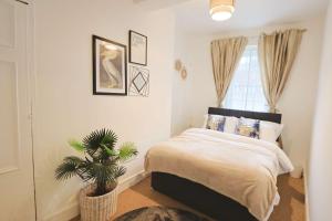 a bedroom with a bed and a potted plant at Two bedroom flat in St Michael's Hill in Bristol