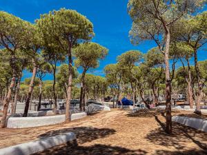 Fotografie z fotogalerie ubytování TAIGA Puerto Santa María v destinaci El Puerto de Santa María