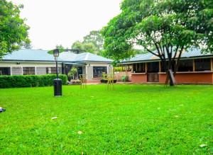 a green yard with a building and a tree at Grevillea Farm house in Kamondo