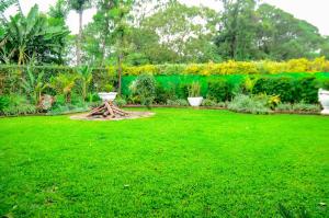 a garden with a green lawn with a table in it at Grevillea Farm house in Kamondo