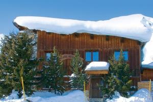 Chalet Les Arolles- Catered Chalet -Half Board في تينيِ: كابينة خشب فوقها ثلج
