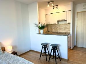 Kuchyň nebo kuchyňský kout v ubytování SMM Apartament Stettin