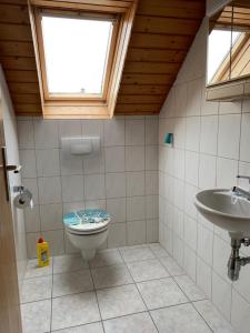 a bathroom with a toilet and a sink at Ferienwohnung Ortenau in Neuried +13 photos