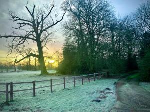 a fence covered in snow next to a tree at 2 Bed Charming Corner Position Apartment in Kidlington