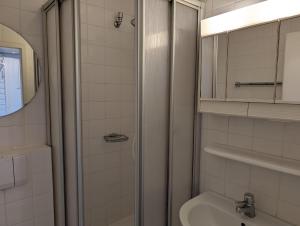 a bathroom with a shower and a sink at Appartment-19-Sylter-Robbe in Wenningstedt