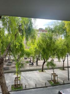 Spacieux 2 pieces au Port de Nice في نيس: اطلالة على حديقة فيها اشجار وكراسي