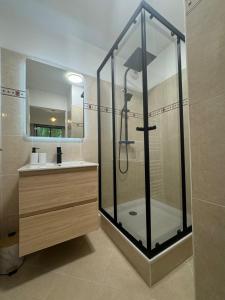 Spacieux 2 pieces au Port de Nice في نيس: حمام مزود بدش ومغسلة