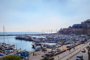 a harbor filled with lots of boats in the water at Gram Suites in Naples