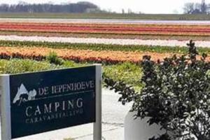 a sign in front of a field of flowers at Luxe 5 persoons safaritent in Anna Paulowna +1 photo
