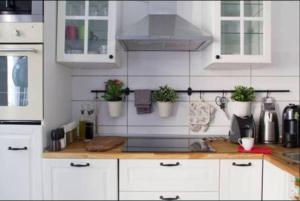 a kitchen with white cabinets and potted plants on the counter at Köln Altstadt Charmantes Studio in Cologne