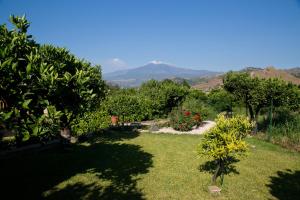 un jardín con flores, árboles y montañas al fondo en B&B Villa Valentina, en Taormina