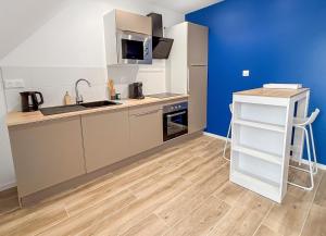 eine Küche mit Spüle und Arbeitsplatte in der Unterkunft La perle de Montargis - Charmant T2 in Montargis