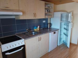 a small kitchen with a sink and a refrigerator at Chata Bublava in Bublava
