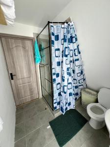 a bathroom with a shower curtain and a toilet at Cabana Teo&Matei in Mihăeşti +19 photos