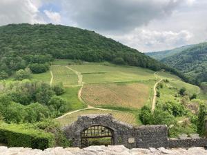 un antico edificio in pietra sul fianco di una montagna di Maison dans un village viticole a Boyeux-Saint-Jérôme