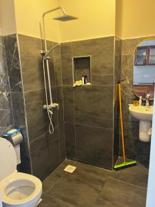 une salle de bain avec une douche avec des toilettes et un lavabo dans l'établissement Resort-style living apartment, à Zanzibar City