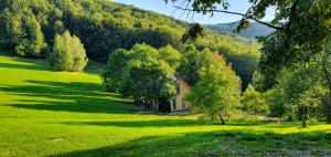 a house in the middle of a field with trees at OFF Chata na Oślaku, Jacuzzi & Sauna in Jaworzna +14 photos