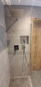 a shower in a bathroom with a shower at OFF Chata na Oślaku, Jacuzzi & Sauna in Jaworzna