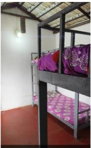 alguns beliches em um quarto em Adam's Heaven em Alappuzha