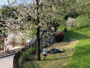Vonkajšia záhrada v ubytovaní B&B Maso Zont Antico Maso
