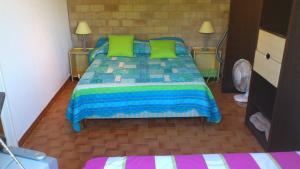 a bedroom with a bed with green pillows at Vermentinu T1 bis 50 m plage du Ruppione in Pietrosella