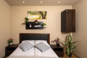 Postel nebo postele na pokoji v ubytování Beskid Apartment 1 z widokiem na góry, Sauna, Jacuzzi