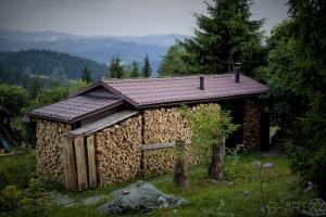 Příroda nedaleko apartmánu