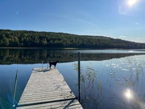 Loodusmaastik apartemendi lähedal