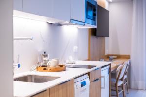 Fels Apartments的厨房或小厨房