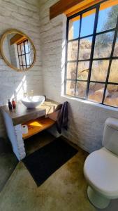 a bathroom with a sink and a toilet and a mirror at Alphen River Lodge in Colesberg