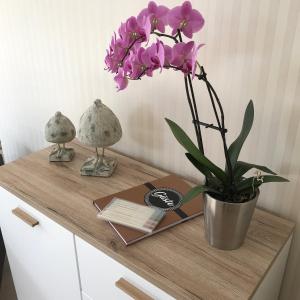a table with a vase with purple flowers on it at Ferienhaus Ilfeld in Ilfeld +7 photos