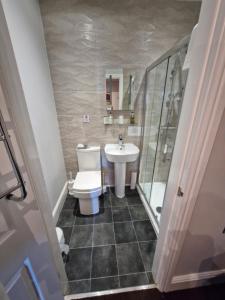 a bathroom with a toilet and a sink at Hen Dy in Llandudno +109 photos