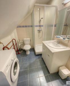 a bathroom with a toilet sink and a washing machine at La Saulainière in Pontlevoy