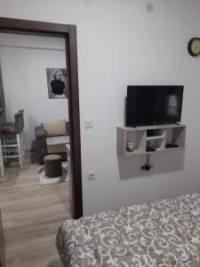 Televízia a/alebo spoločenská miestnosť v ubytovaní leoben