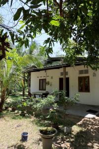 Zahrada ubytování EECS Transit and Budget Homestay