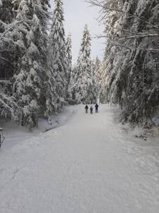 Billede fra billedgalleriet på Domaine Des Hauts Viaux i La Bresse