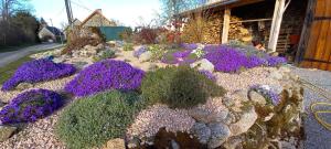 a garden of purple flowers in front of a building at La Grange in Saint-Agnant-près-Crocq