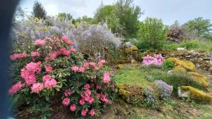 a garden with pink flowers and a stone wall at La Grange in Saint-Agnant-près-Crocq +6 photos