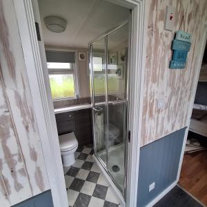 a bathroom with a toilet and a glass shower at 18 Sea Valley Bideford Bay Park Dean in Bideford +21 photos