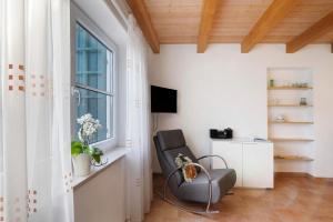 a living room with a chair and a window at Birkethof Fernblick in Grimoldsried